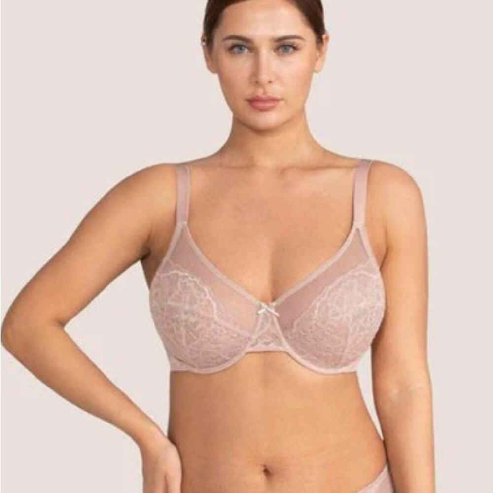 HSIA Enchante Dusty Pink Lace Underwire Bra Size 46C NWT